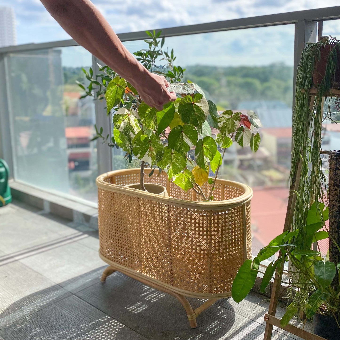 Isle Wicker Plant Stand