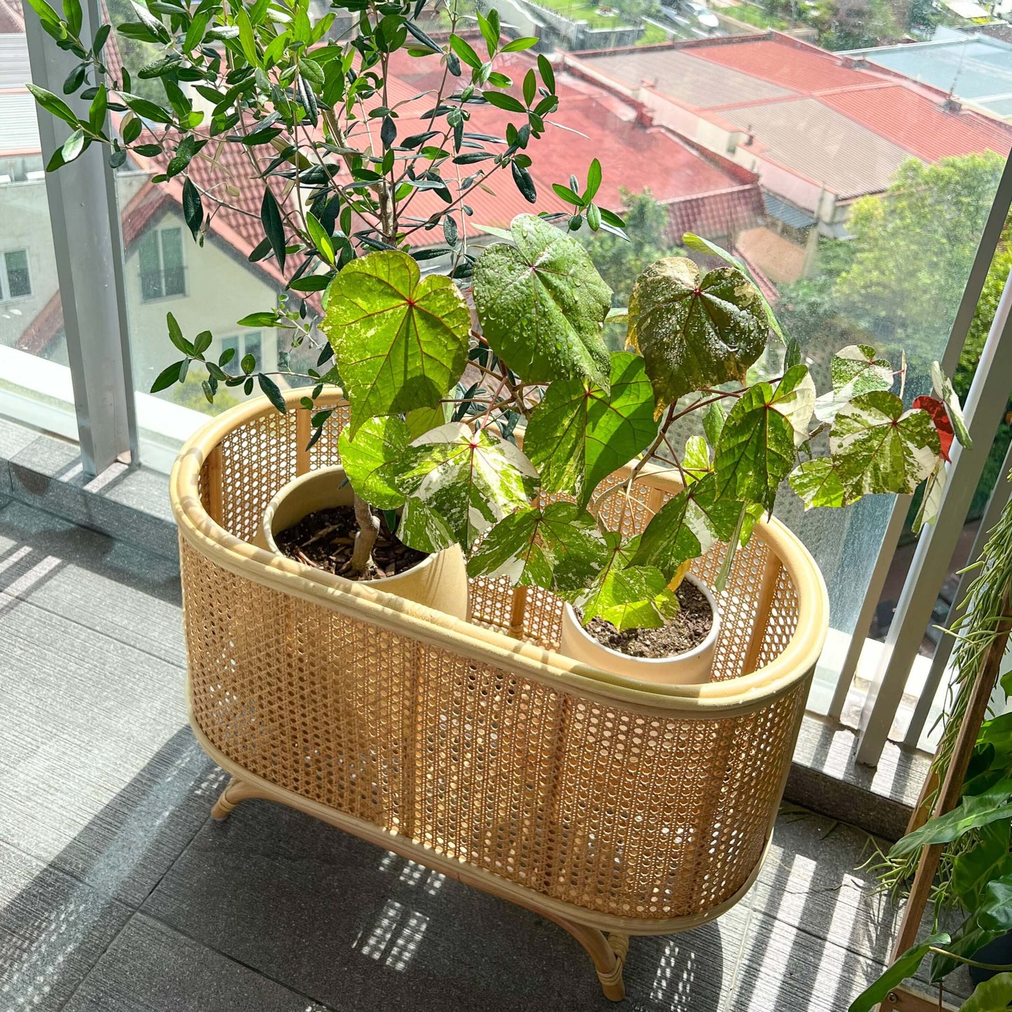 Isle Wicker Plant Stand
